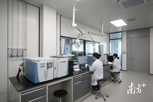 金灣生物醫藥產業研究院試運營 打造全鏈條新藥研發服務新引擎