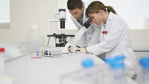 化學、化工與生物化工專業(yè)就業(yè)前景分析