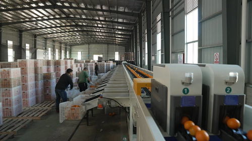 菜鳥(niǎo)物流科技下鄉(xiāng)，助力尋烏農(nóng)產(chǎn)品進(jìn)城與快遞進(jìn)村，自動(dòng)化與生物化工技術(shù)研發(fā)再上新階