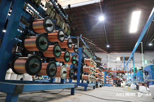 背靠東莞制造，虎門生物化工產(chǎn)品技術(shù)研發(fā)如何跑向全國(guó)