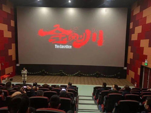 華陰市文旅局黨委 重溫崢嶸歲月筑牢使命擔當，文化交融激發(fā)時代活力