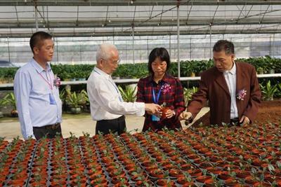 神舟帶回的太空蔬菜更好吃？江門“飛天”種子專業(yè)戶揭示農(nóng)業(yè)科研新篇章