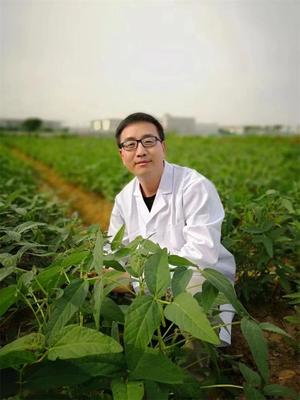 王學(xué)路教授科研成果榮登2021年度“中國(guó)高等學(xué)校十大科技進(jìn)展”，為農(nóng)業(yè)科學(xué)發(fā)展注入新動(dòng)力